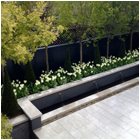 Belgravia Mews